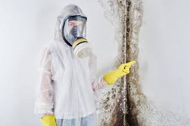 Best Basement Mold Removal  in Avenal, CA